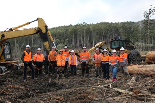 Forestry contractors